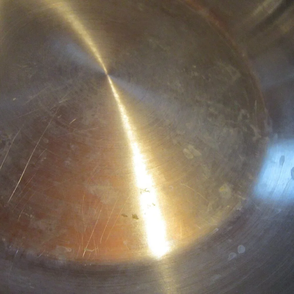 Stainless Steel Skillet 10.75